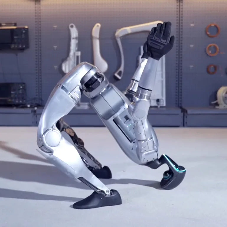 Standard Edition, Interactive Bionic Humanoid Biped Robot