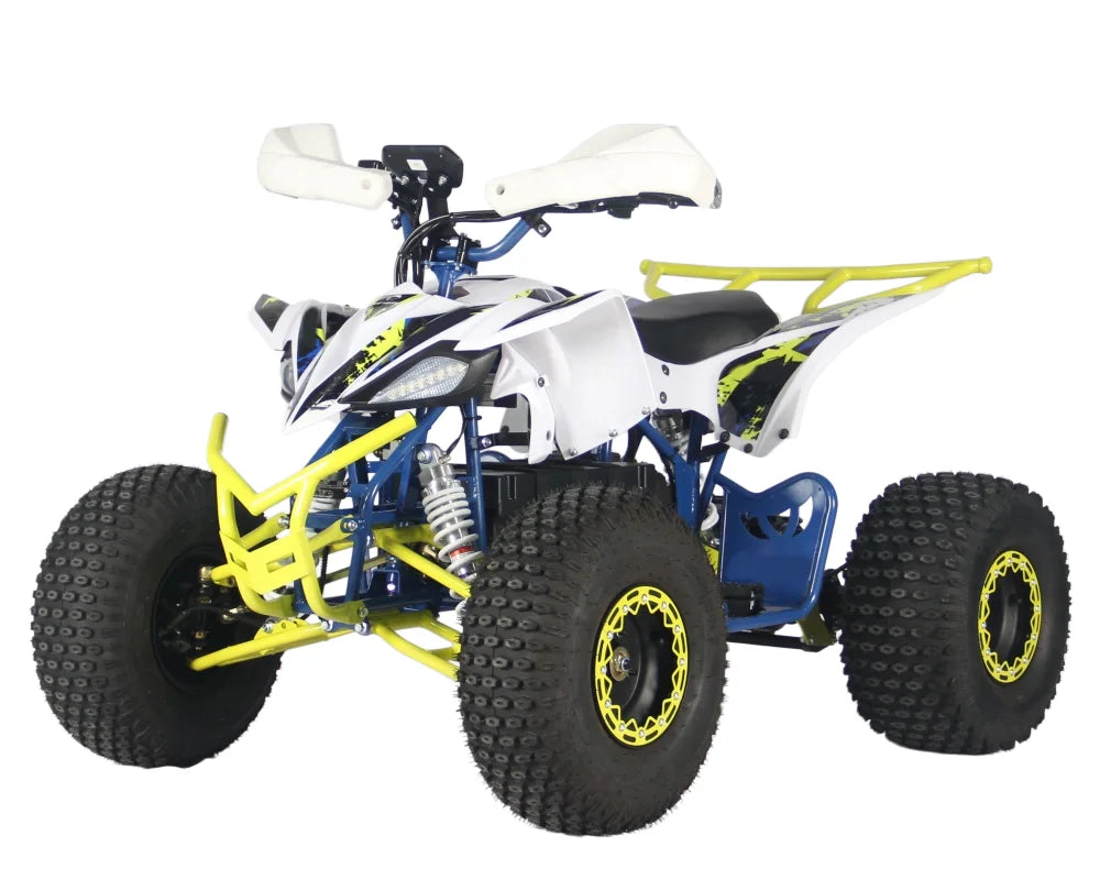 Factory Direct Sale High Cost-Effectiveness Electric ATV Can Choose 48V60V with Ce Certification