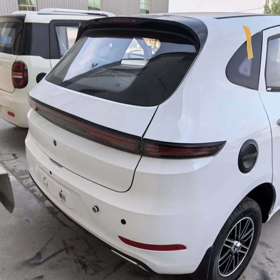 Small electric car for the elderly Luxury electric car for the elderly