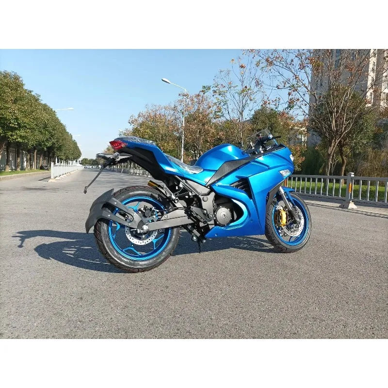 Luyuan Motorcycleelectric Motorcycle Adult Speed 180KM/H And Long Range 200km Electric Motorcycle Mid Drive 20000W