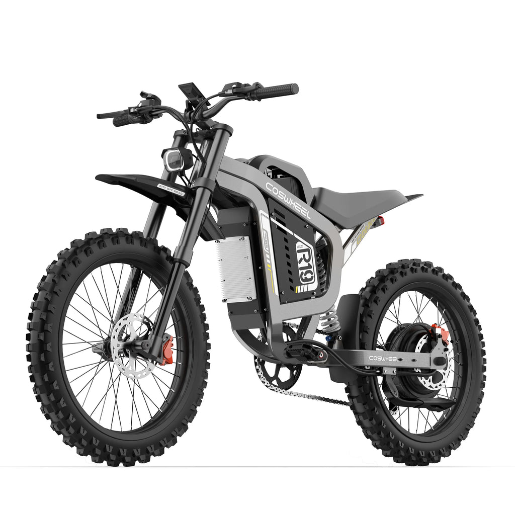 Coswheel R19 adult E-bike 3000W Motor 72V 40Ah battery commute Electric Bike,19-inch Tire E-Mountain bike