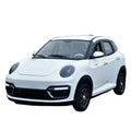 2025 new four-wheeled electric vehicle, fully enclosed for household use, air-conditioned oil-electric dual-purpose
