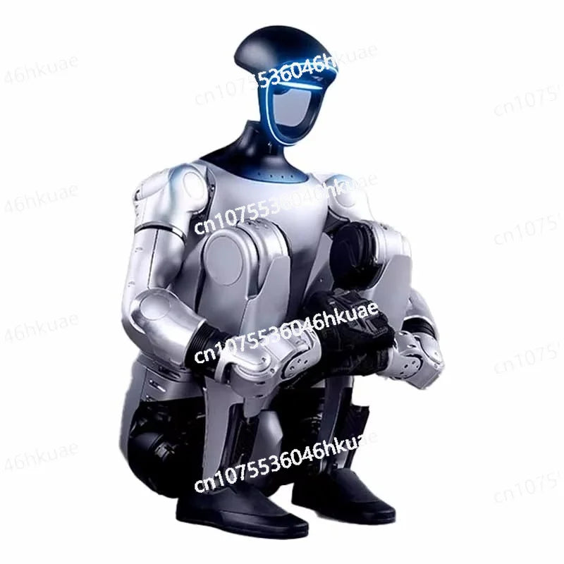 Basic Intelligent Humanoid Robot More Flexible Artificial Intelligence