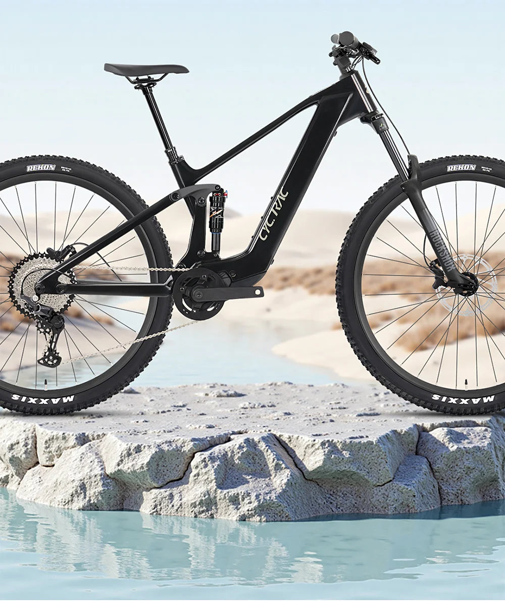 TWITTER EM19 Carbon FiberElectric assistance Bike 250W36V/48VNew21700Battery E-bike M6100 12S Adult All-Terrain Electric Bicycle