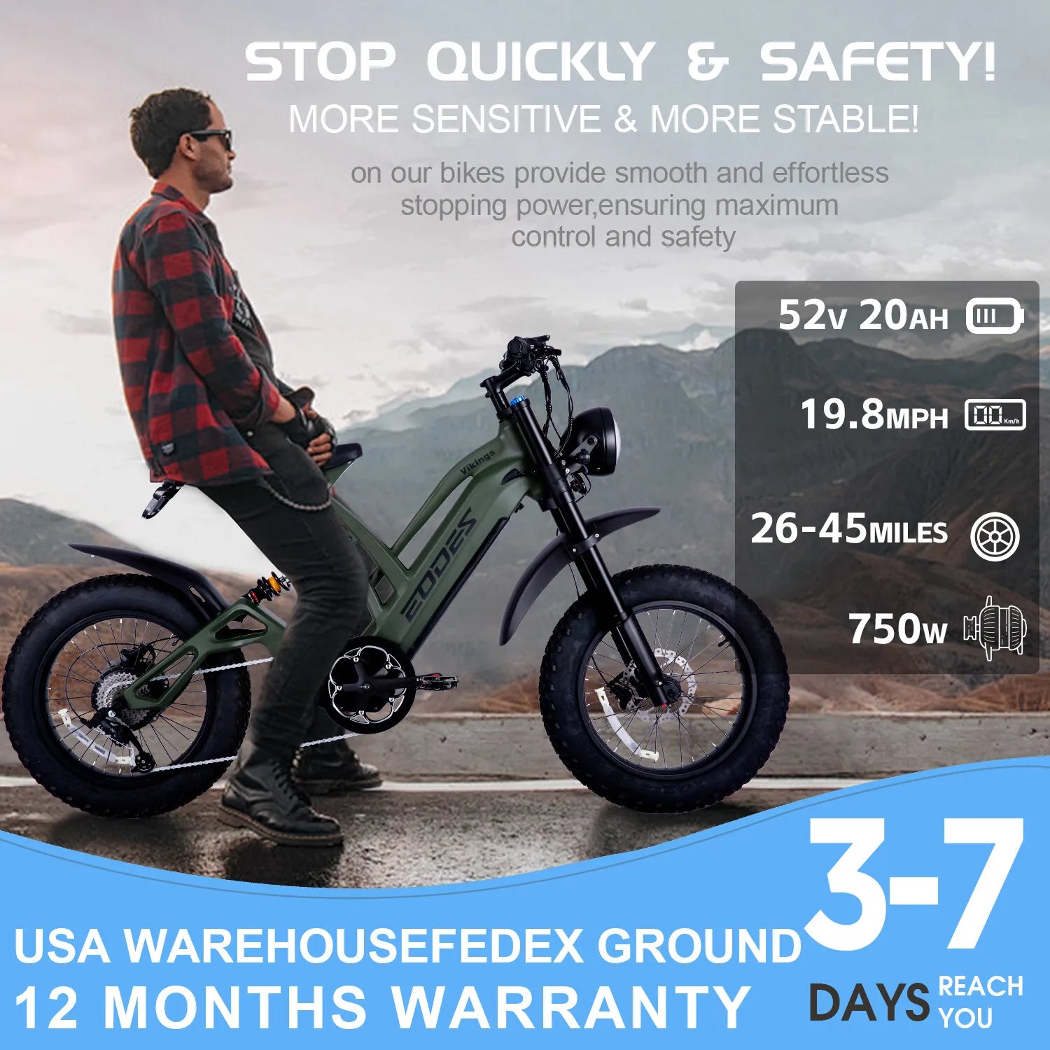 New 20" ELECTRIC BIKE 1000W 52V 20AH UP TO 32KM/H E-BIKE & Torque sensor  USA