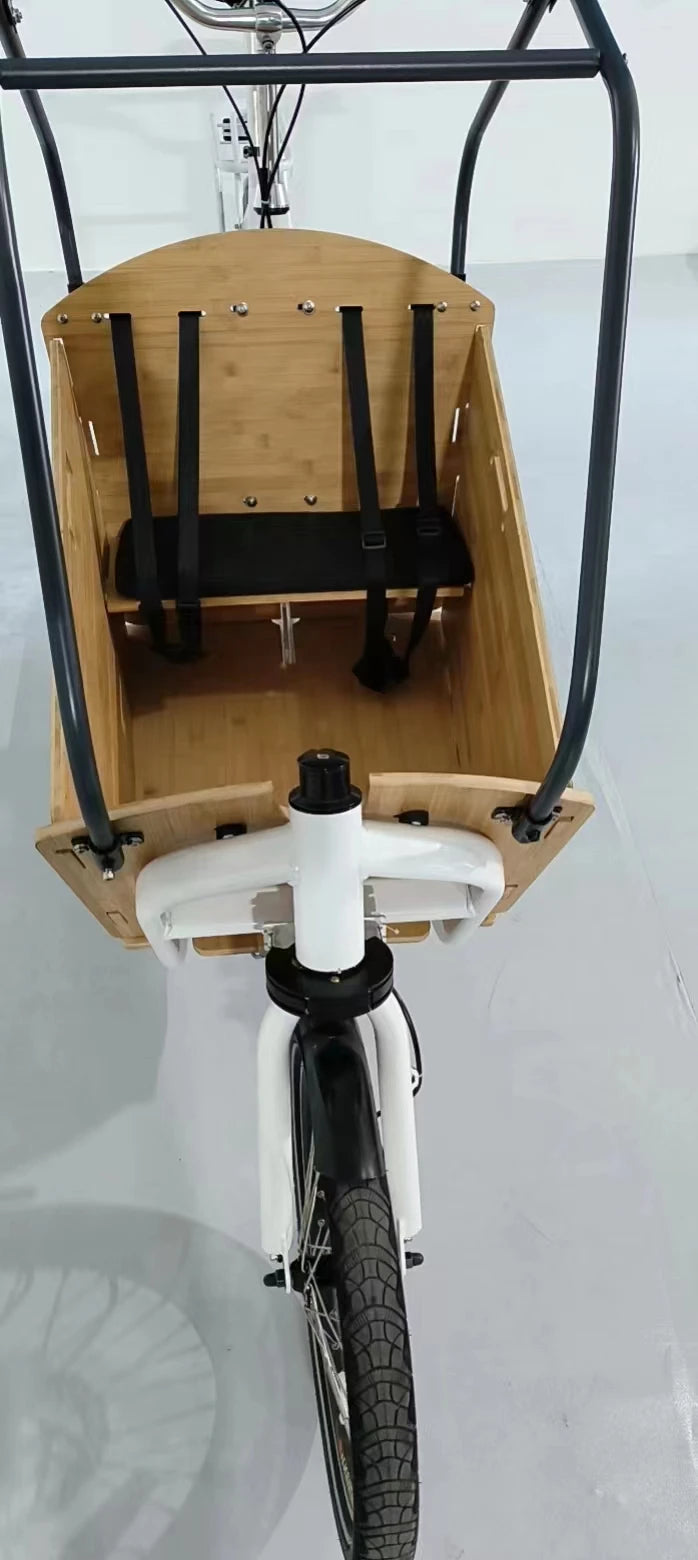 20'' Big Volume Two Wheels Pets Kids Carrier Goods Electric Bicycle Long Family Cargo Ebike Cargo Bike Electric