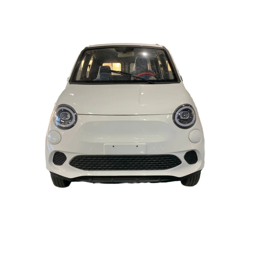 Electric four-wheeled elderly car Fully enclosed car Dual fuel scooter 3kW motor Comfortable sightseeing car