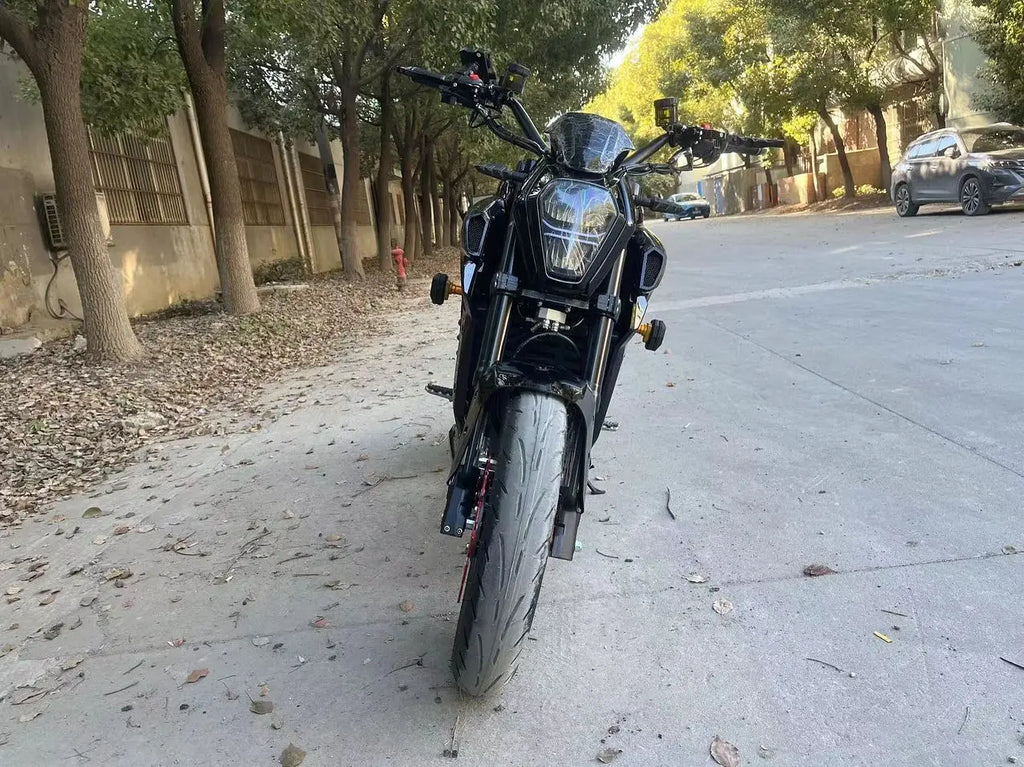 New Racing Electric High Speed Motorcycle adult 3000W 5000W 8000W Mid-drive motor  electric motorcycle