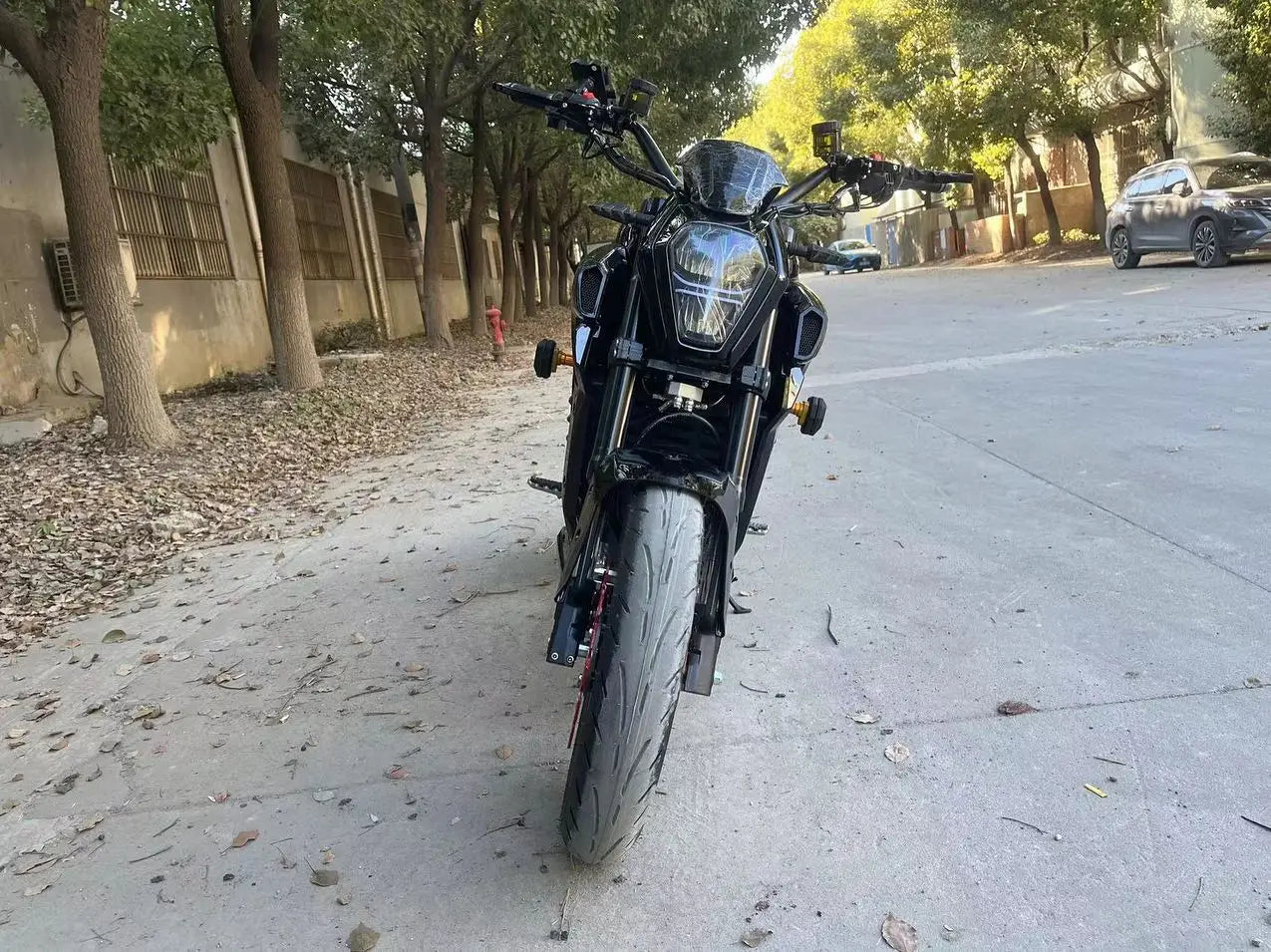 New Racing Electric High Speed Motorcycle adult 3000W 5000W 8000W Mid-drive motor  electric motorcycle