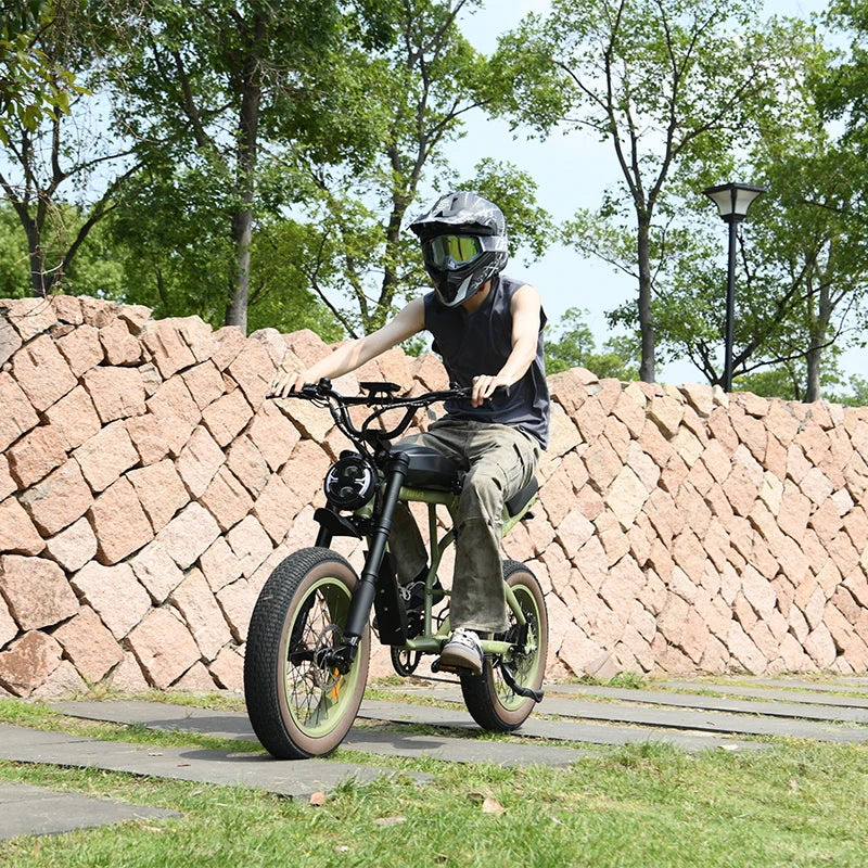 SXLL US Stock Powerful   Bike Cougar   Bike 60V 750w   Fat Bike Cheap 20 Inch   Motorcycle