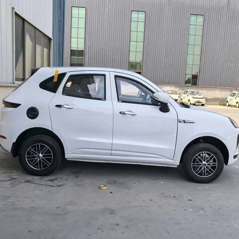 Small electric car for the elderly Luxury electric car for the elderly