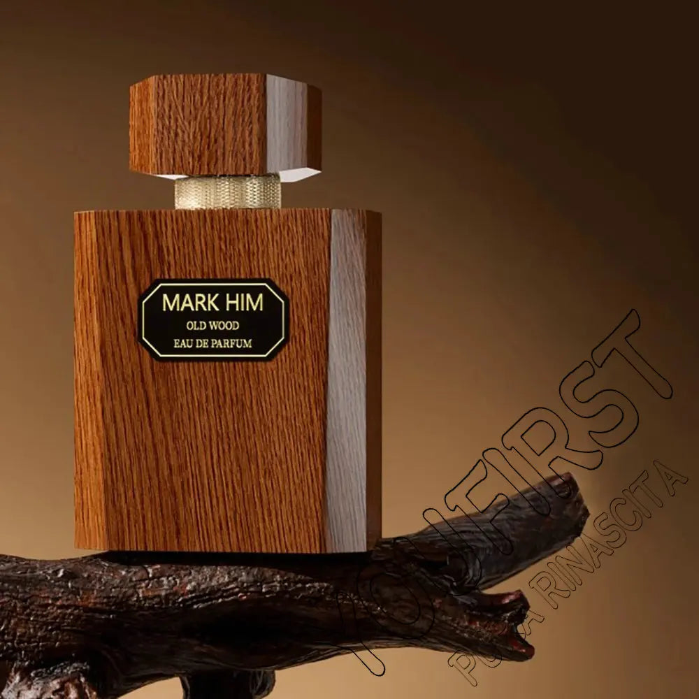 Top Quality Cologne Perfume Men 100ml Pheromone Perfumes Hombre Fresh Natural Woody Scent Spray Homme Profumo Uomo Charming Man