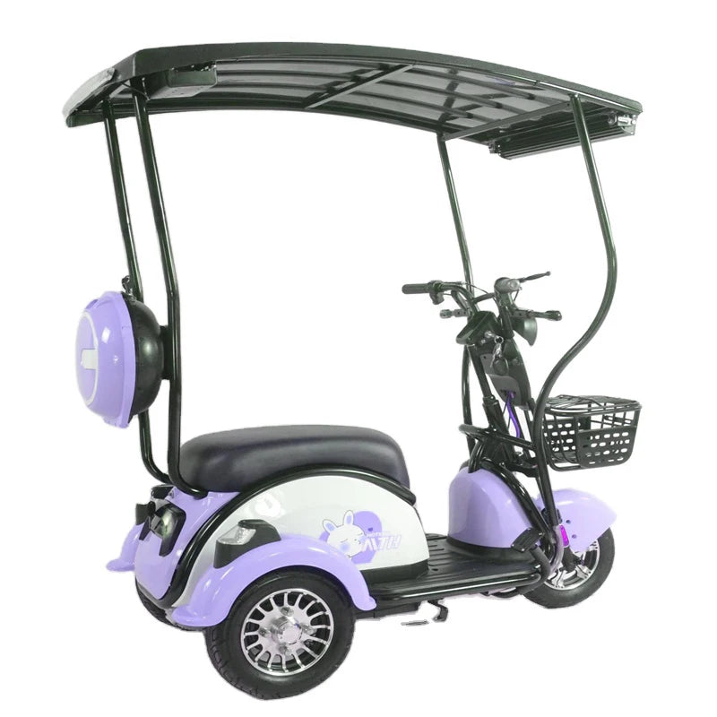 China Hot Selling 3 Wheel Scooter Adult Electric Motorcycle for Sale 3 Wheel Solar Tricycle With Roof