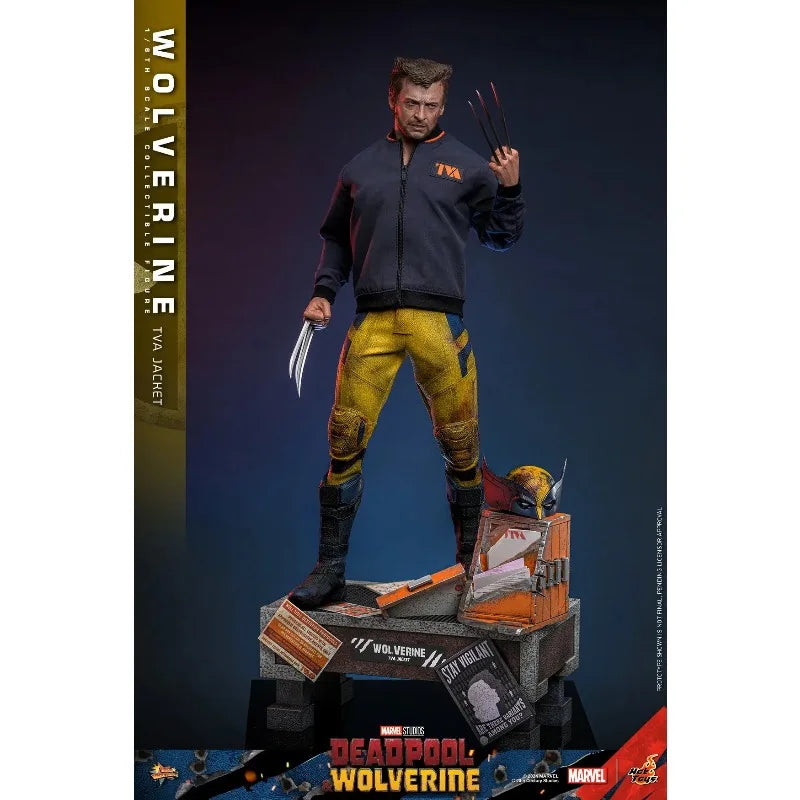 100%  Original HT Toys 1/6 MMS756 Deadpool Wolverine Wolverine TVA Jacket Version Anime Action Collection Figures