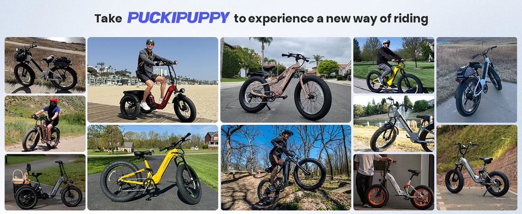 PUCKIPUPPY Bulldog Dual Battery E-bike 1350W 48V 30AH With Luxury Accessory Pack And Extra 15Ah Battery Electric Mountain Bike
