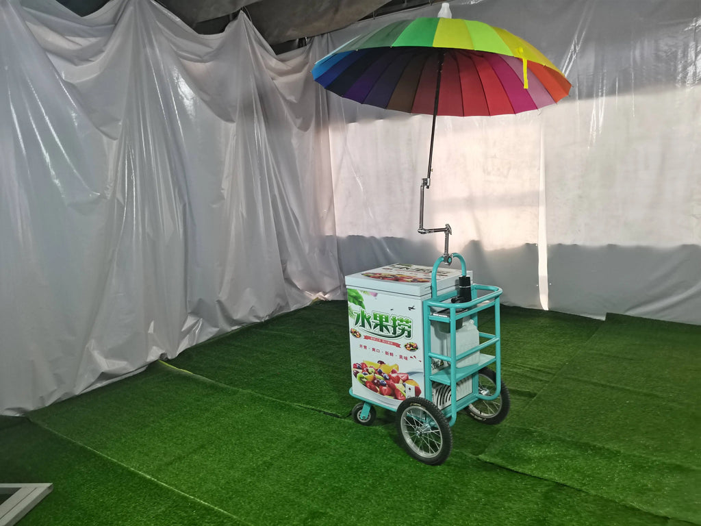 Italian Gelato Cart Electric Tricycle With Freezer Display Mobile Ice Cream Bike Customized Vending Commercial Street Food Kiosk