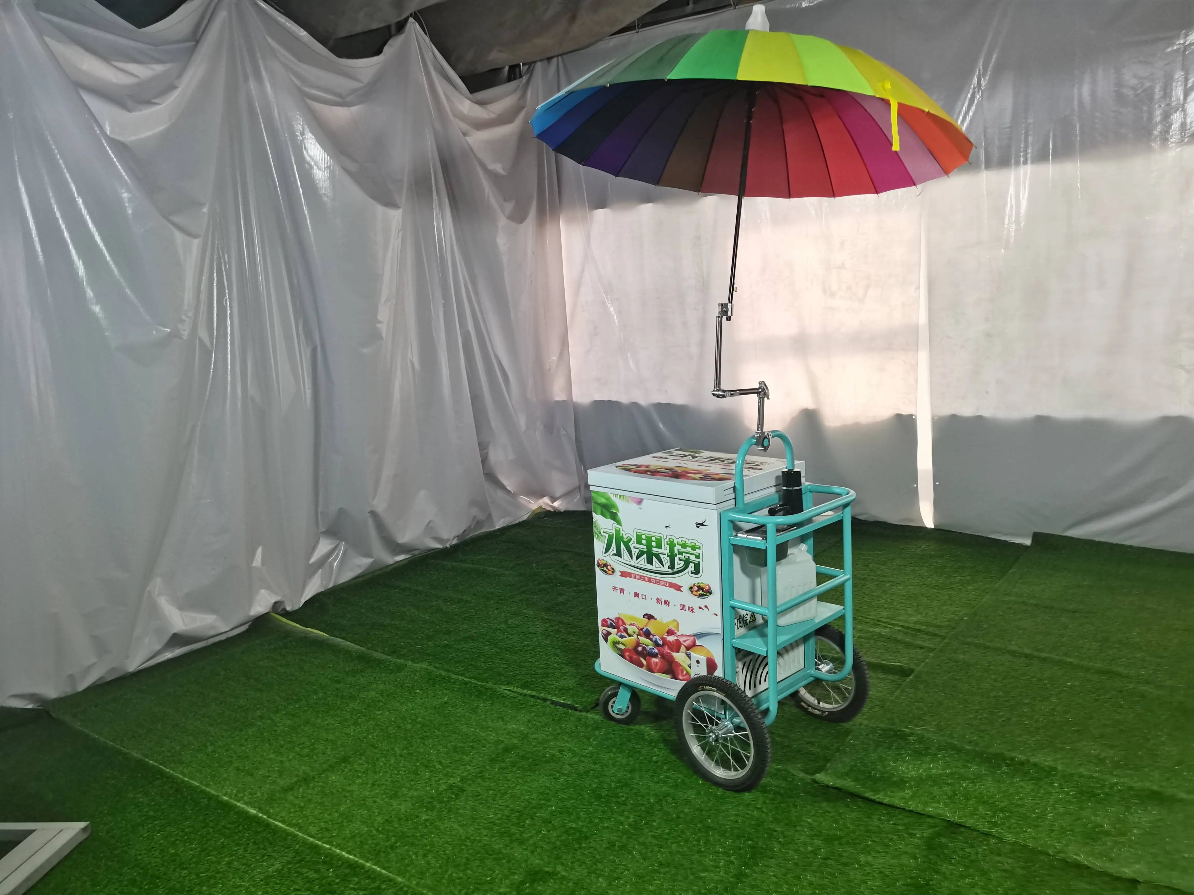 Italian Gelato Cart Electric Tricycle With Freezer Display Mobile Ice Cream Bike Customized Vending Commercial Street Food Kiosk