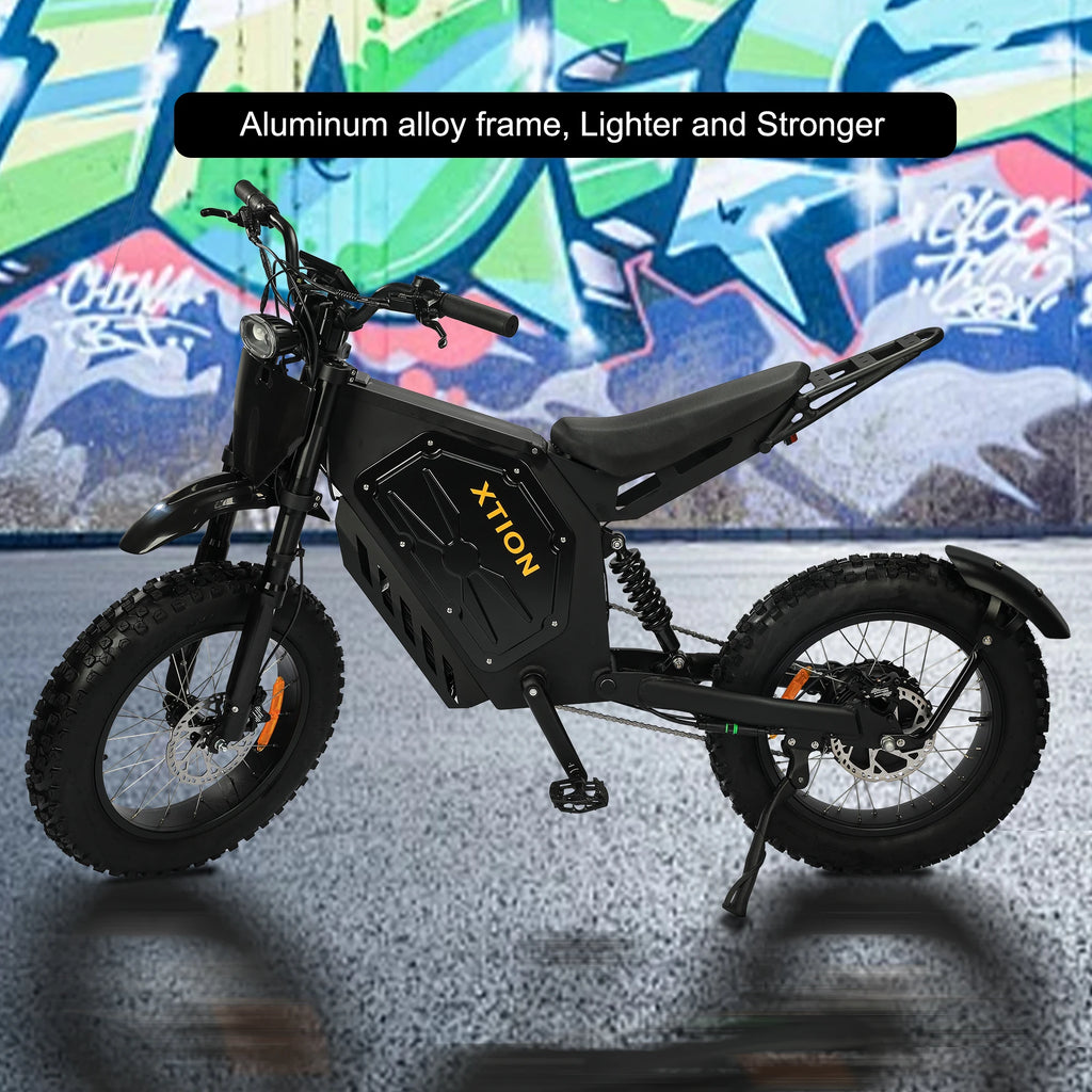 Xtion Electric Mountain Bike for Adults, 3000W E-bike , 45 MPH & 60 Miles Range, 60V 25AH Removable Battery Dual Shock E Bike