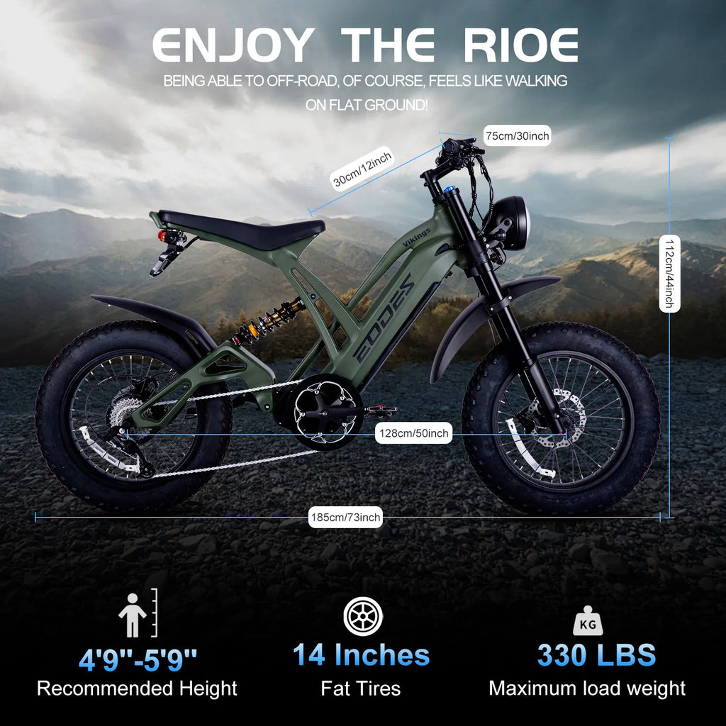 New 20" ELECTRIC BIKE 1000W 52V 20AH UP TO 32KM/H E-BIKE & Torque sensor  USA