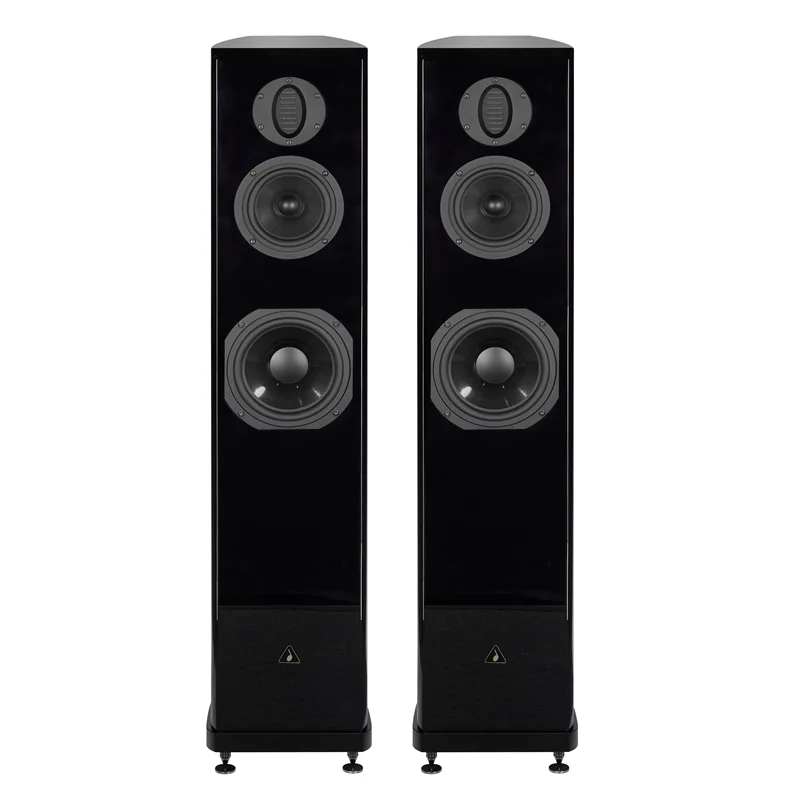 AURUM CANTUS Harmony Mini DSP Electronic Frequency Division Active HIFI Speaker 3 Way 3 Unit 3 Power Amplifier