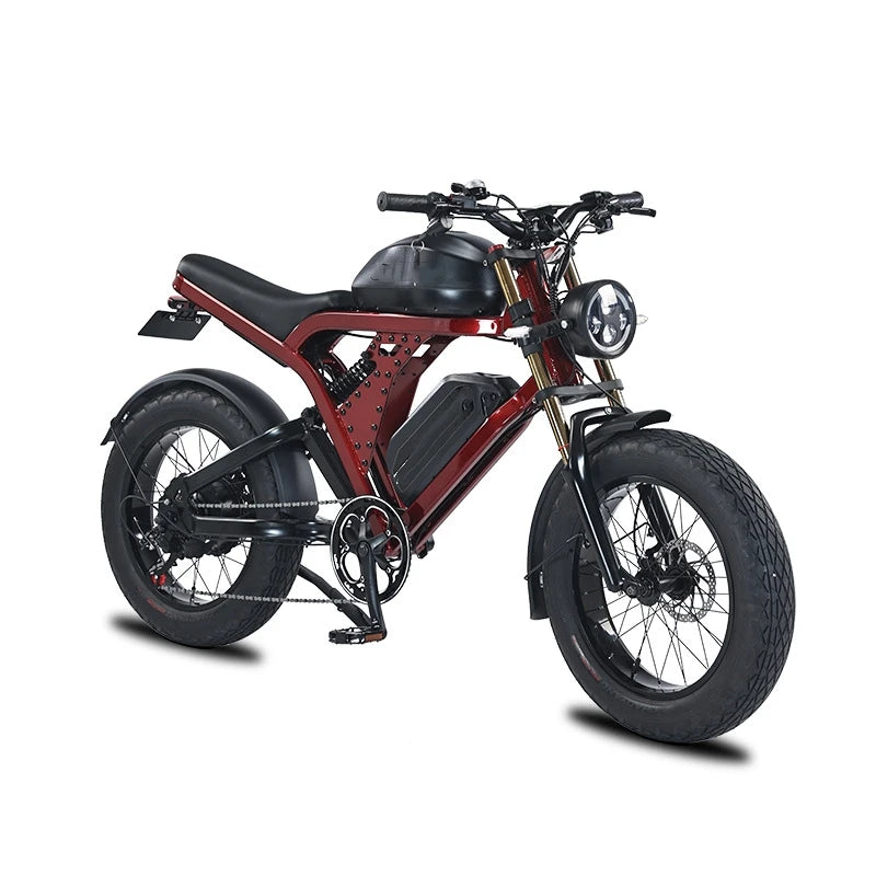 SXLL Smart Powerful 52v Lithium Battery Dual Suspension Hydraulic Disc Brake Mountain Ebike Fat Tire Electric Bicycle Bicycle