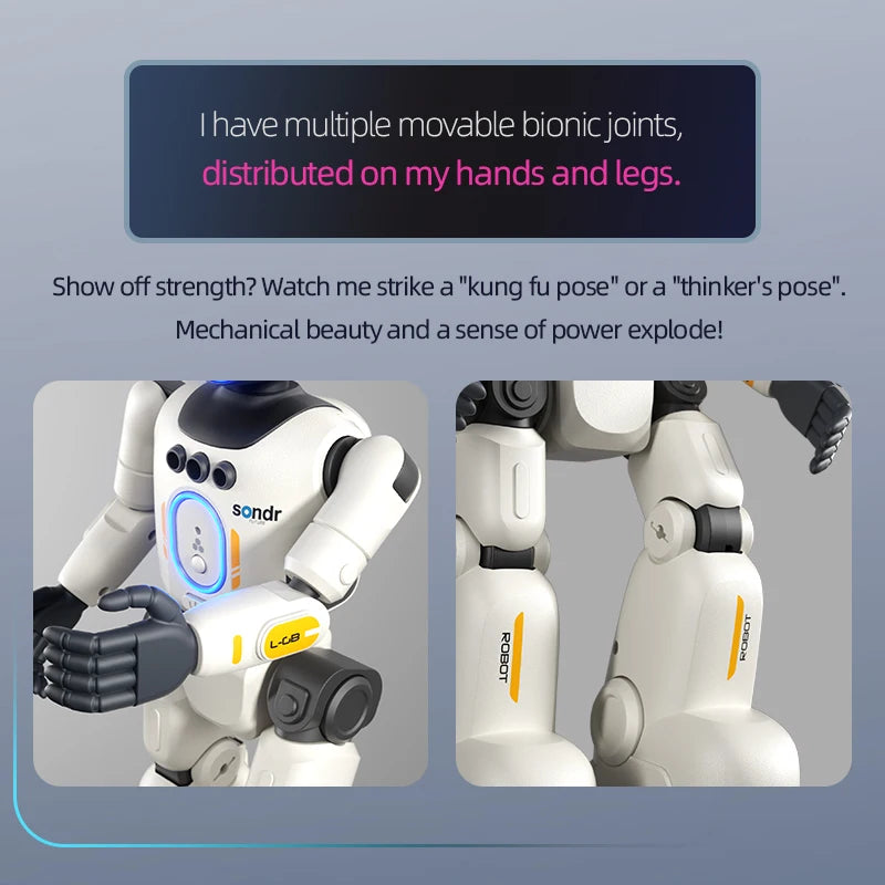 Smart Programming Humanoid Gesture Sensing Remote Control Robot 2.4G Joint Mobility Breathing Light Recording Function RC Robot