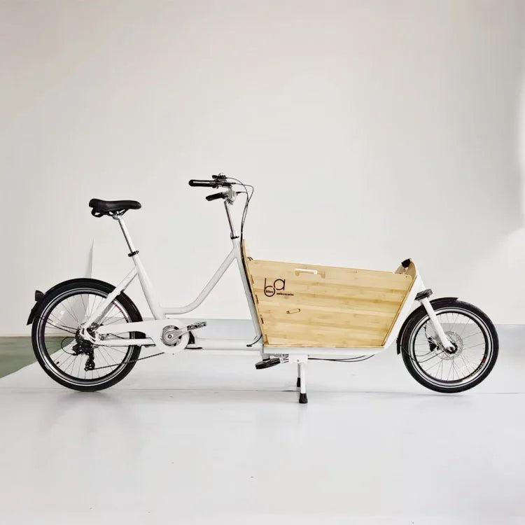 20'' Big Volume Two Wheels Pets Kids Carrier Goods Electric Bicycle Long Family Cargo Ebike Cargo Bike Electric