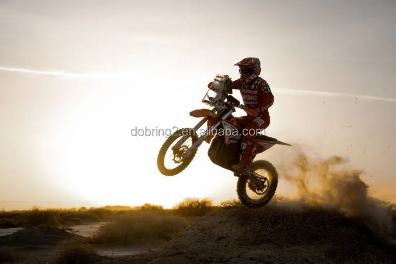 2025 Arctic Leopard E-X 800 800Nm Electric Motorcycle Powerful Mountain Bike Genre 115km/h