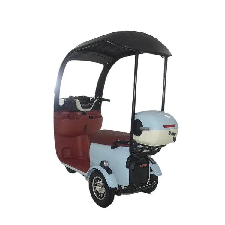 High Quality 2024 Hot Selling Electric Tricycle Scooter Electric Bike High Power Lady Electric Scooter with Roof