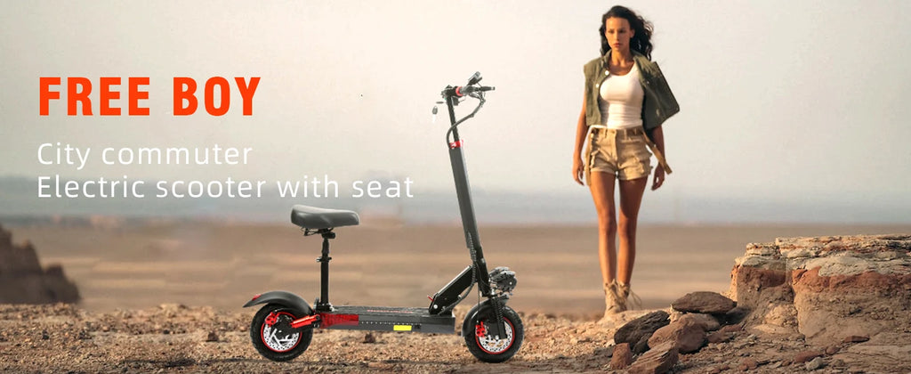 Freeboy J01 Adult Electric Skateboard 800W 48V Foldable Battery Powered Scooter with 10 Inch Tire for Transportation