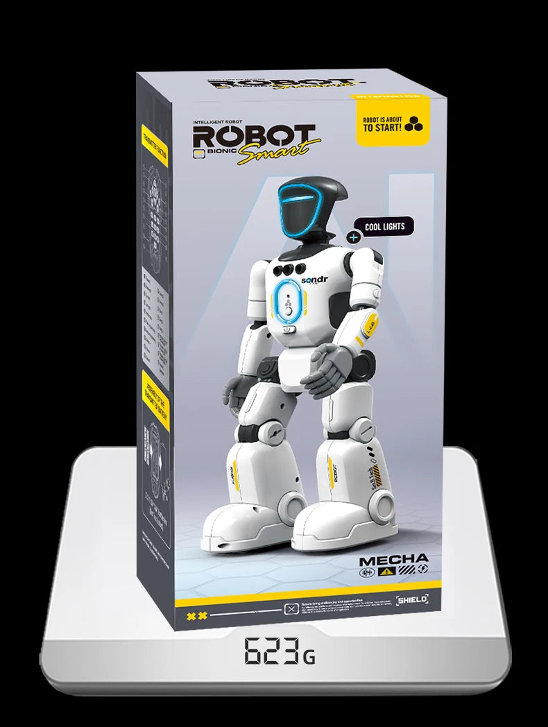 Smart Programming Humanoid Gesture Sensing Remote Control Robot 2.4G Joint Mobility Breathing Light Recording Function RC Robot