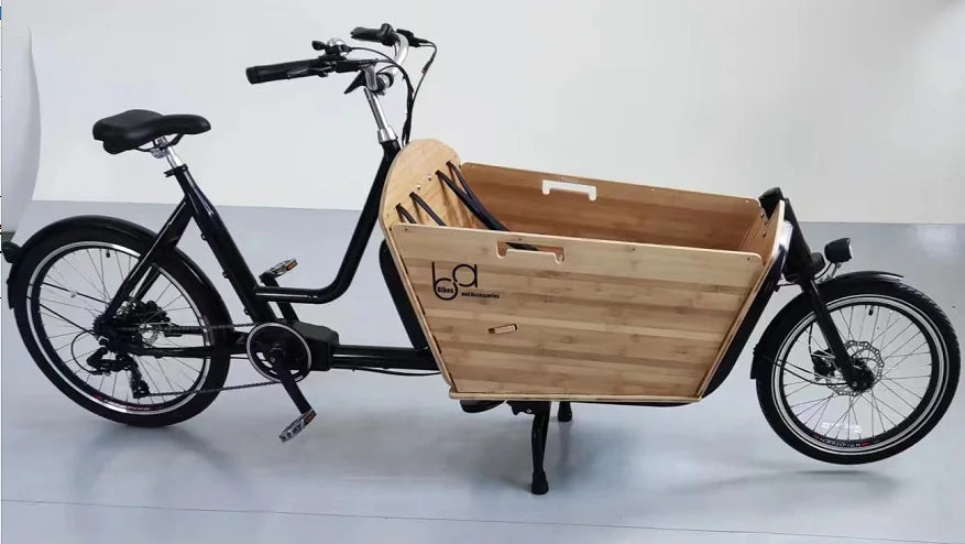 20'' Big Volume Two Wheels Pets Kids Carrier Goods Electric Bicycle Long Family Cargo Ebike Cargo Bike Electric