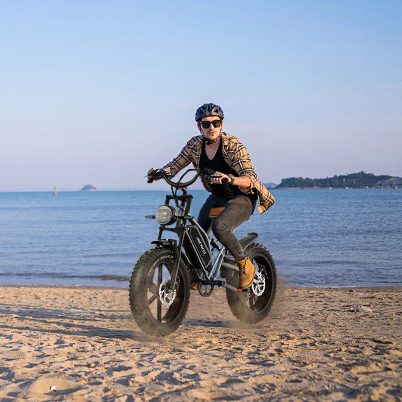 750W brushless DC adult electric bicycle, 48V 14Ah detachable battery 5-speed 20 "x 4.0mm thick tires suitable adult riding mult