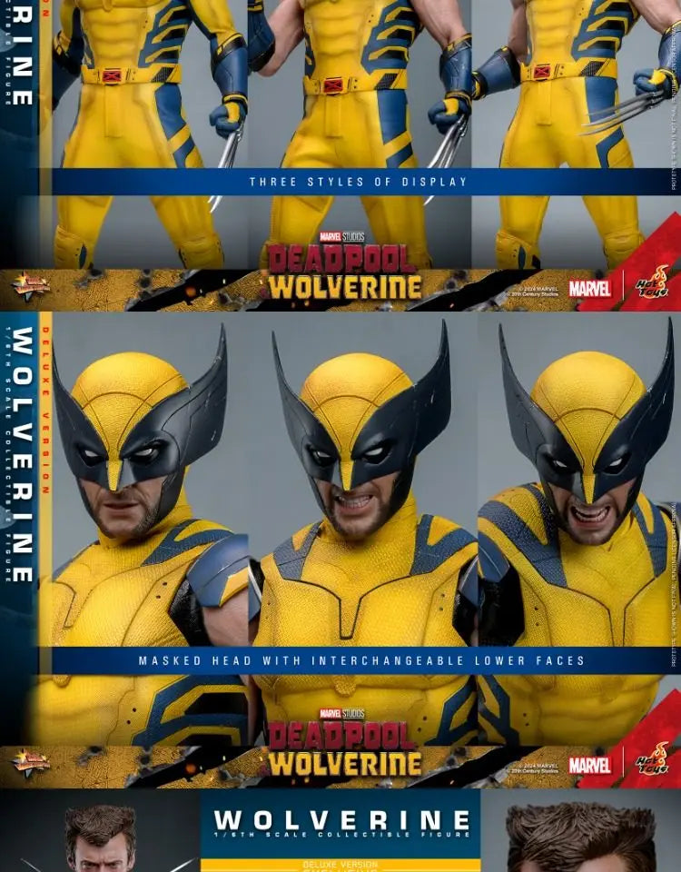 Hot Toys Mms754 Mms753 Wolverine 1/6 Scale Sci Fi Movie Collectible Articulated Action Figure 30cm Desktop Ornament In Stock