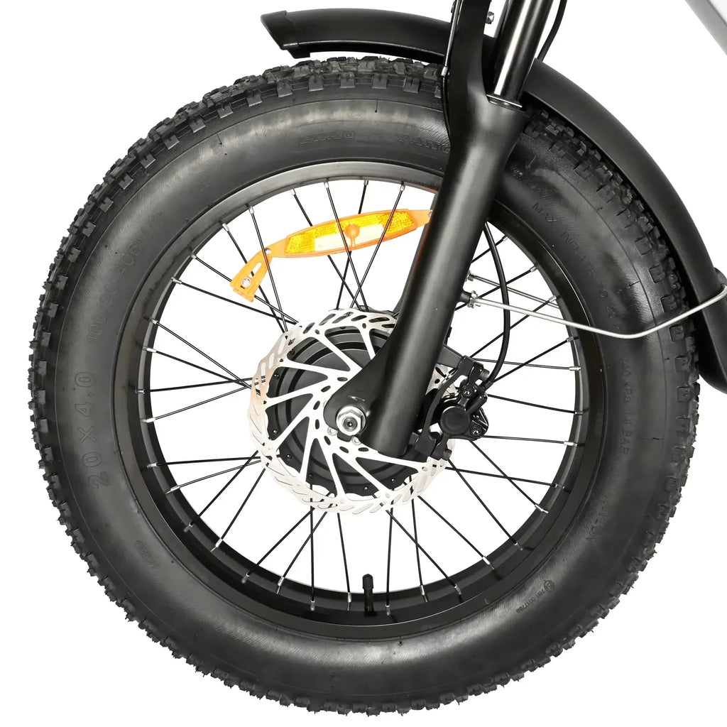 Baolujie DP2033 Electric Bicycle 2000W Dual Motor 48V30AH Lithium Battery E-bike 20*4 Inch Fat Tire Mountain Cargo Electric Bike