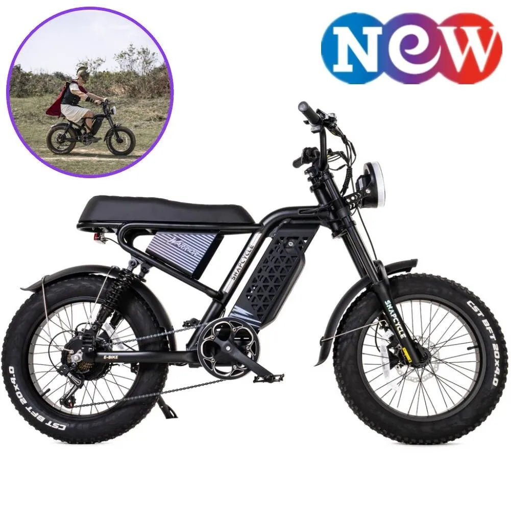 New  20" 750W 48V Electric Bike Mountain Bicycle FatTire E-bike for Adult