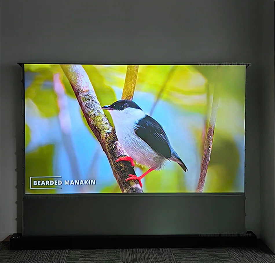 72-120 Inch Motorized Fresnel ALR Floor Rising Projector Screen Ambient Light Rejecting for Normal Throw Projector 3D 8K Image