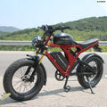 US Warehouse AKEZ 1500W 52V 55Ah Electric Bike, Aluminum Alloy Adult E-Bike, Wholesale Supply