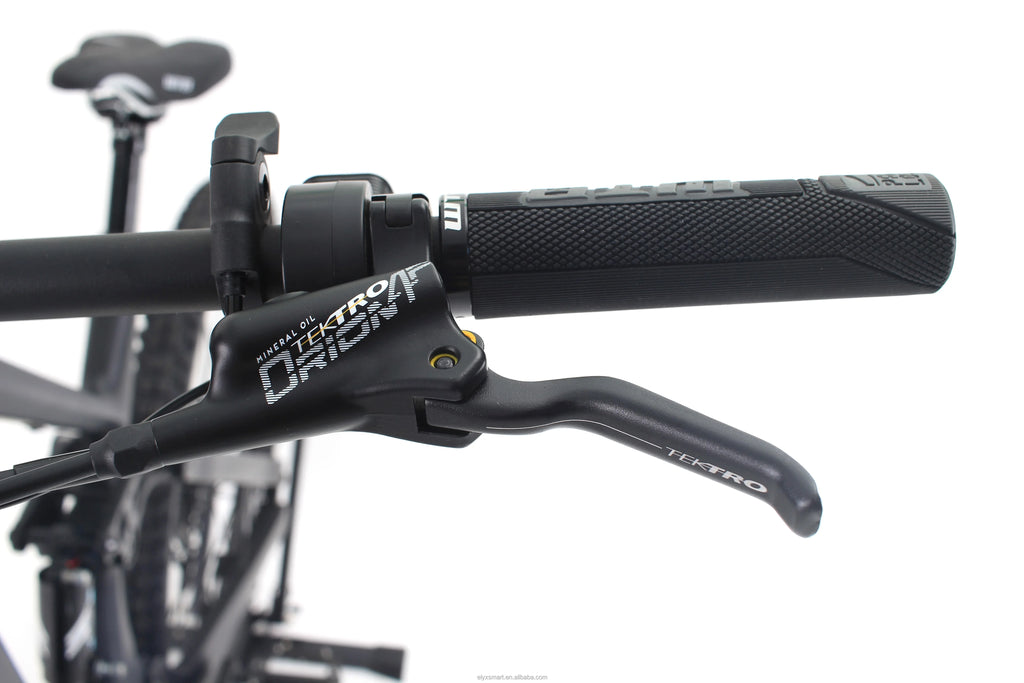 ATV&UTVE Bike Fully Factory Wholesale Carbon Fiber Frame 750W 1000W Bafang M620 Bike 29 Mountain Adult Electric Bike
