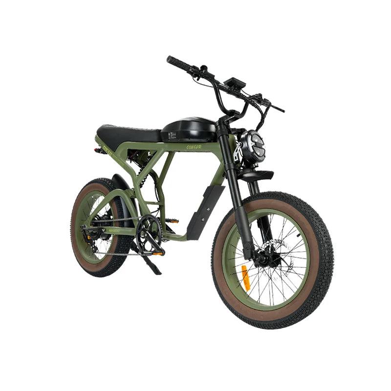 SXLL US Stock Powerful   Bike Cougar   Bike 60V 750w   Fat Bike Cheap 20 Inch   Motorcycle