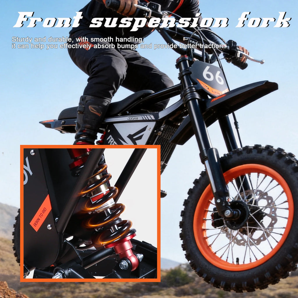 FREEBOY Y66 E-bike 3000W Motor 48V30AH Battery Electric Bike Max Speed: 55KM/H 12/10-In All-terrain Fat Tires Electric Bicycle