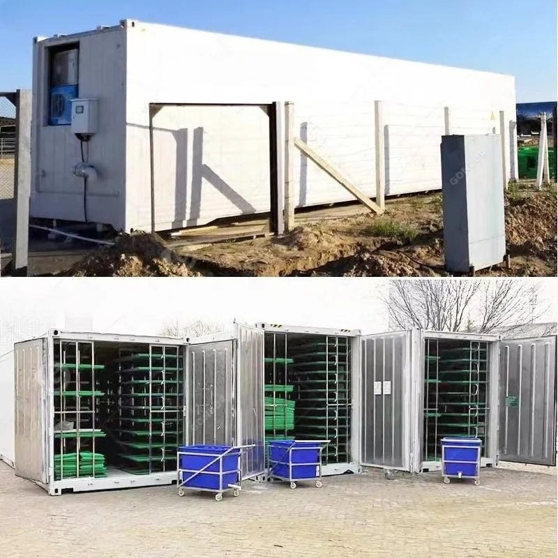 Customized 20ft 40ft Container Farm, Hydroponic Growing System Agricultural Greenhouse for Mushroom Production