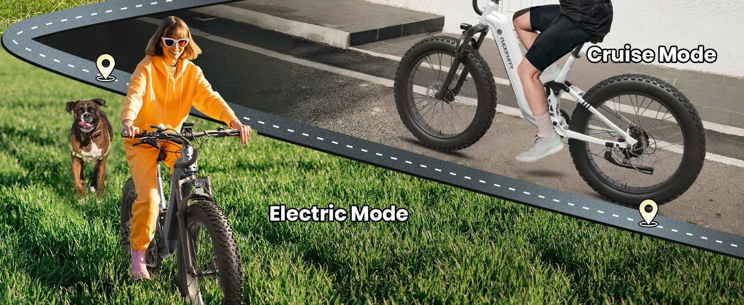 Electric Bike 960W, 48V 20AH Full Suspension Fat Tire Mountain E-Bike 80 Miles