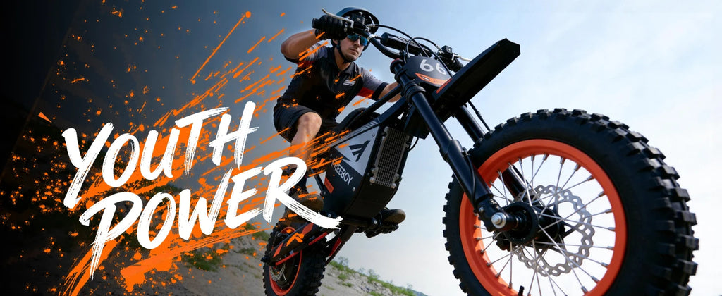 FREEBOY Y66 E-bike 3000W Motor 48V30AH Battery Electric Bike Max Speed: 55KM/H 12/10-In All-terrain Fat Tires Electric Bicycle