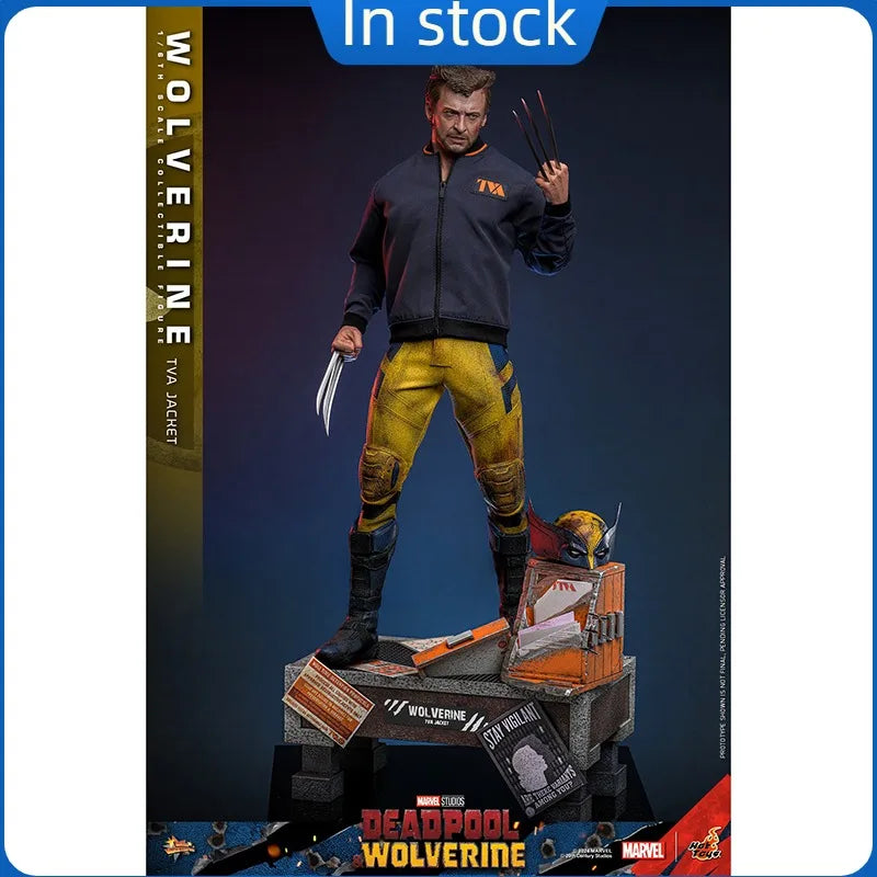 100%  Original HT Toys 1/6 MMS756 Deadpool Wolverine Wolverine TVA Jacket Version Anime Action Collection Figures