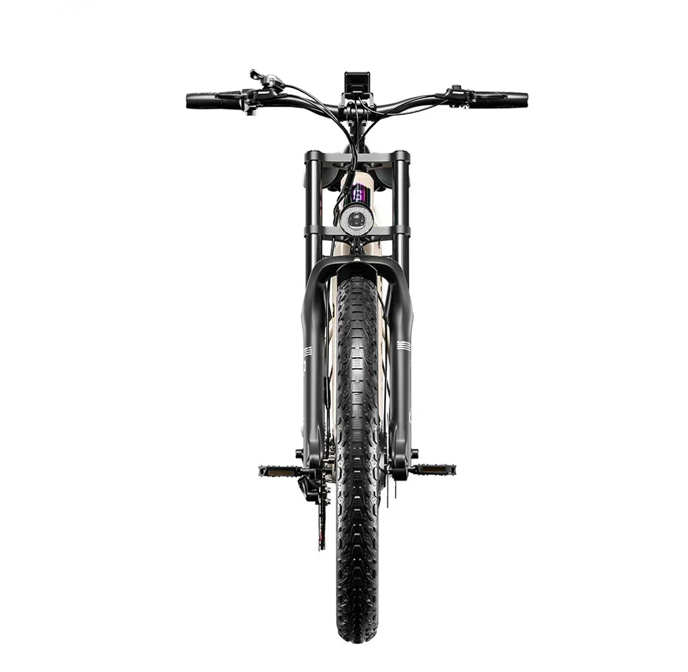 S700 Electric Bicycle Dual motor 2000W Lithium battery 48V17.5AH commuting 26 inch Hydraulic Brake E-bike off-road Electric bike