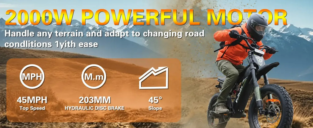 BAOLUJIE M2 Electric Bike Adults Mountain Bike 60V 25AH 20" Tires Ebike 2000W High-speed Motor Max Speed 45MPH【1 Year Warranty】