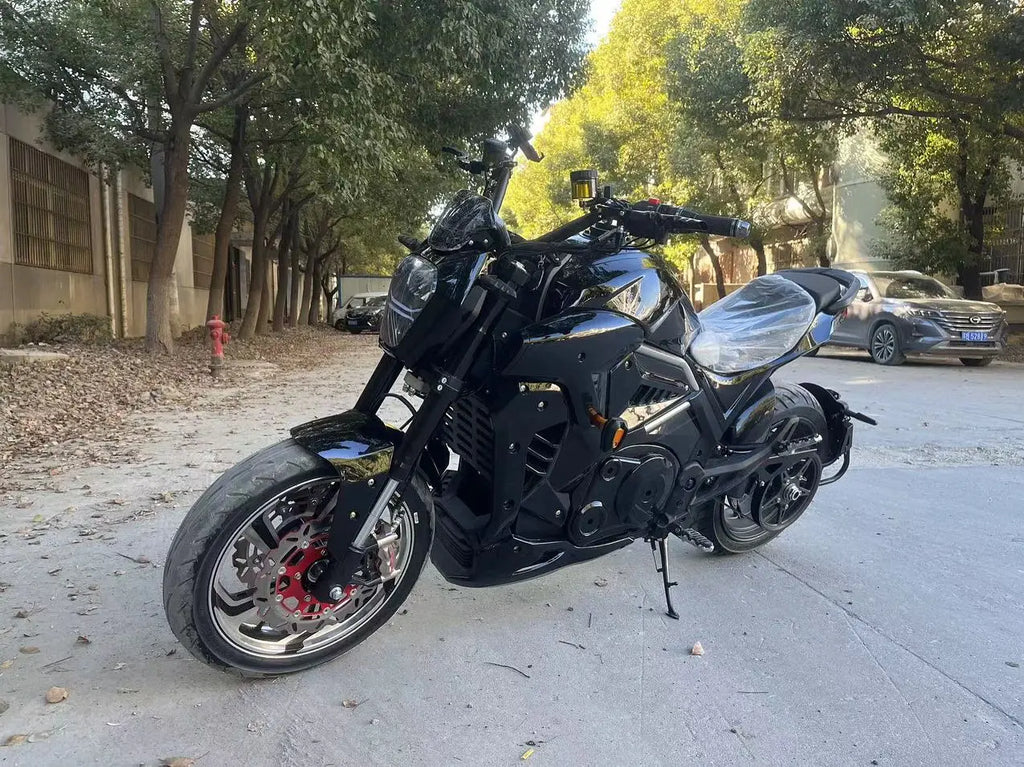 New Racing Electric High Speed Motorcycle adult 3000W 5000W 8000W Mid-drive motor  electric motorcycle