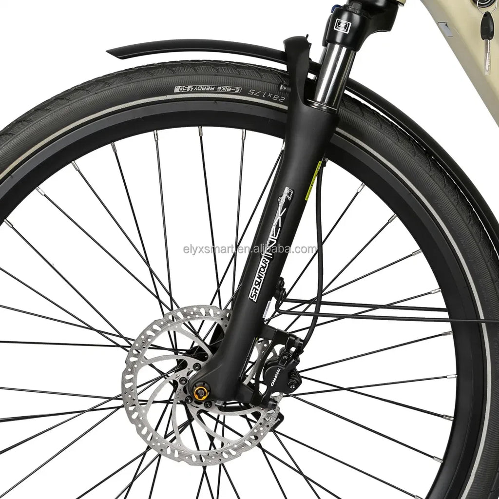 ATV&UTVEuropean Style Silent Mid Motor 250W 500W Step Through Women's Bike 720Wh Trekking Bike Electric Bicycle  700C Wheel Road