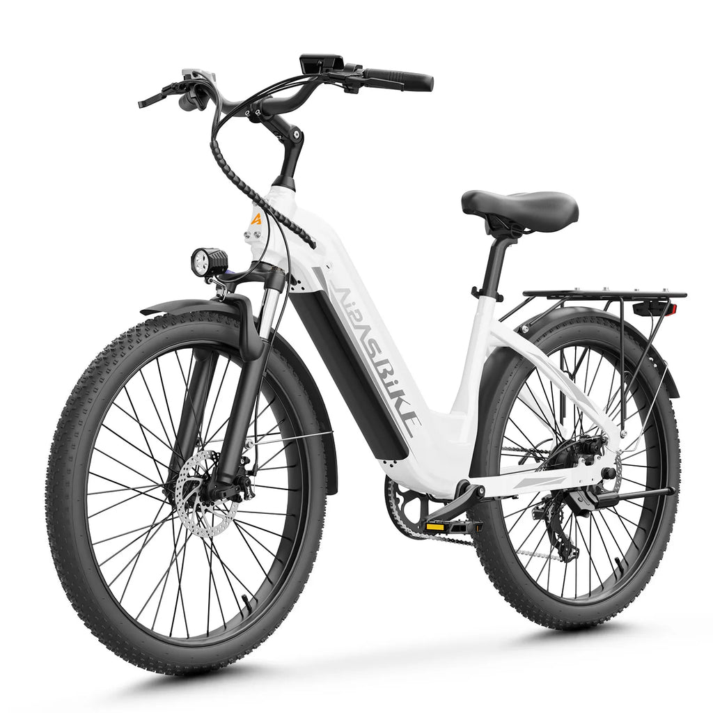 24" Fat Tire Electric Bike 48V 1100W Peak 28MPH Adult Mountain Commuter E-Bike